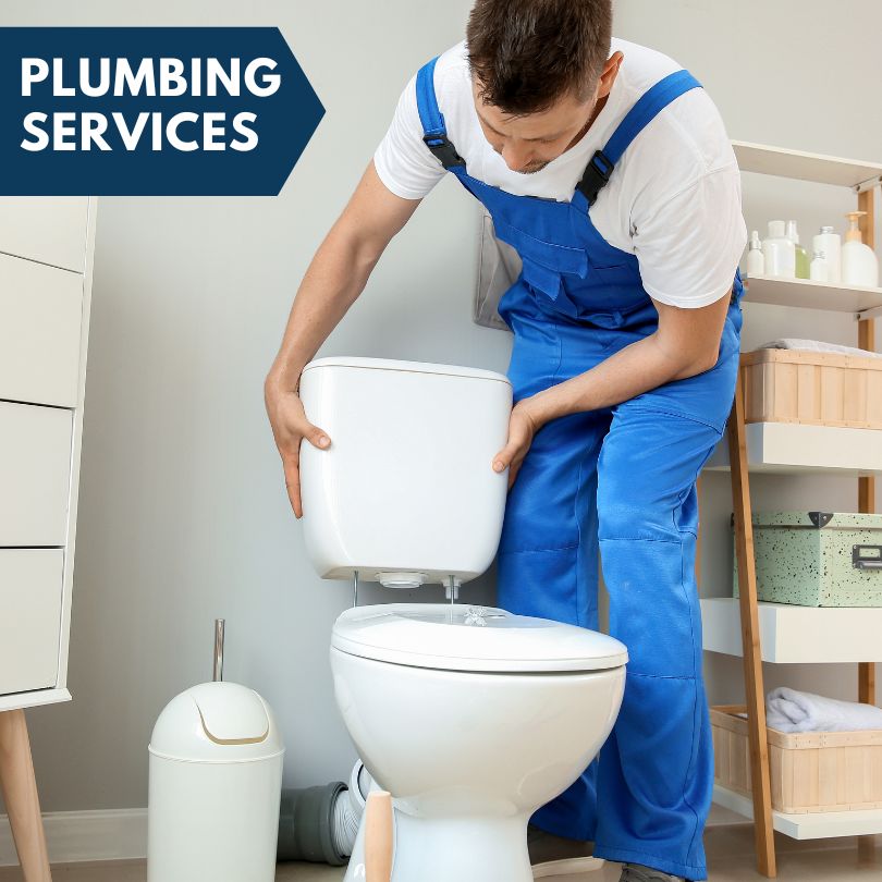 Plumbing Company in Lakeview, OH